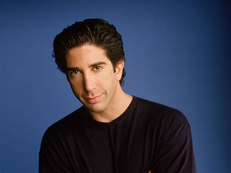 David Schwimmer | Wikiramp