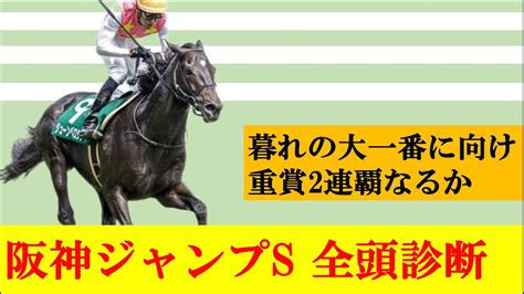 【阪神ジャンプステークス 2023】 秋の障害重賞第1戦を徹底全頭診断！！暮れの大一番に向け最初に名乗りをあげるのは一体どの馬か