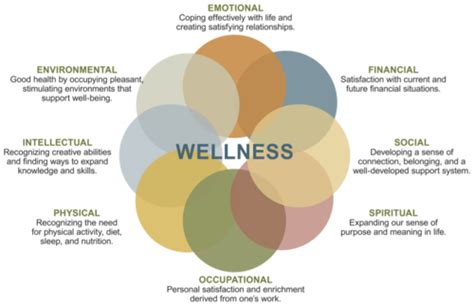 Chapter Introduction To Health And Wellness Flashcards Quizlet