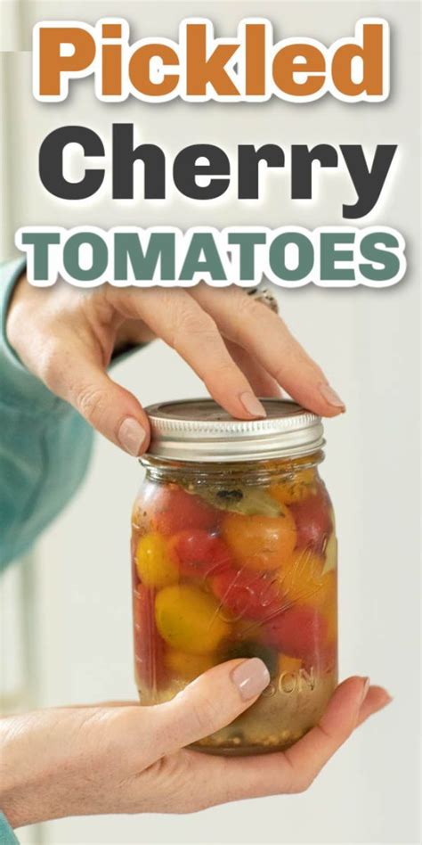 Pickled Cherry Tomatoes Artofit