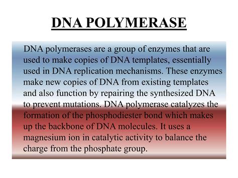 Dna Polymerase Ppt