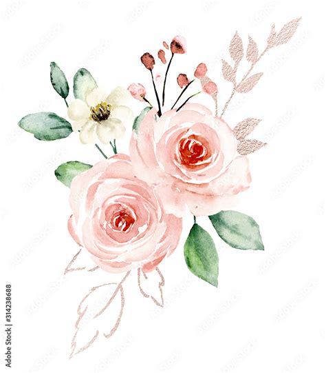 Flowers Pink Watercolor Floral Blossom Clip Art Bouquet Blush Roses