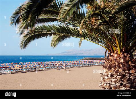 Lanzarote: Puerto Del Carmen Beach Stock Photo - Alamy