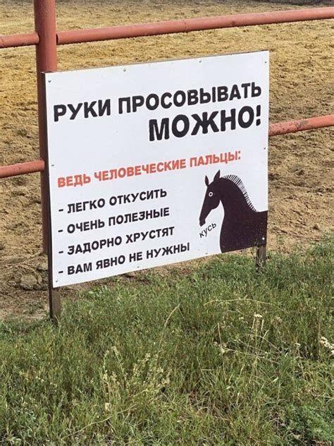 Beon - дневники