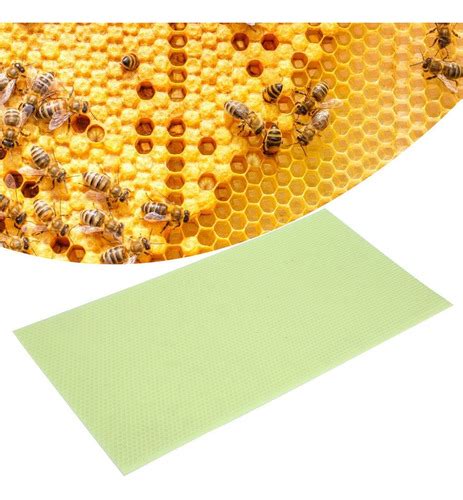 Hoja De Cera De Abejas Piezas De Pl Stico Verde Apicultur Cuotas