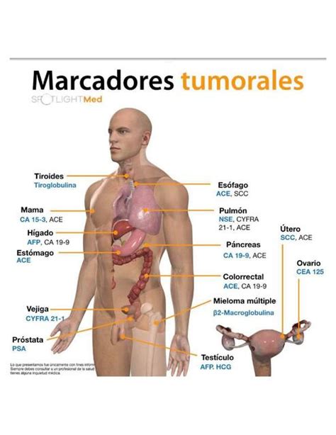 Marcadores Tumorales 2 UDocz