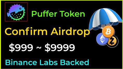 Puffer Confirm Token Airdrop Binance Labs Backed Project