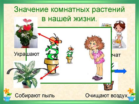 Мир комнатных растений - online presentation