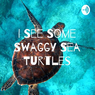 I See Some Swaggy Sea Turtles A Podcast On Spotify For Podcasters