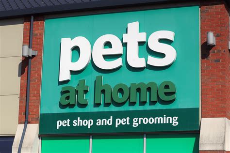 Pets At Home Raises Profit Forecast As Shopper Demand Accelerates The