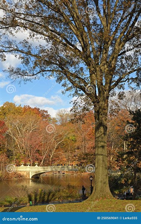 Landscape Of Autumn Central Park With Bow Bridge New York City Stock