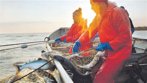 “la Solución A La Sobrepesca No Es Dejar De Comer Pescado Salvaje Sino