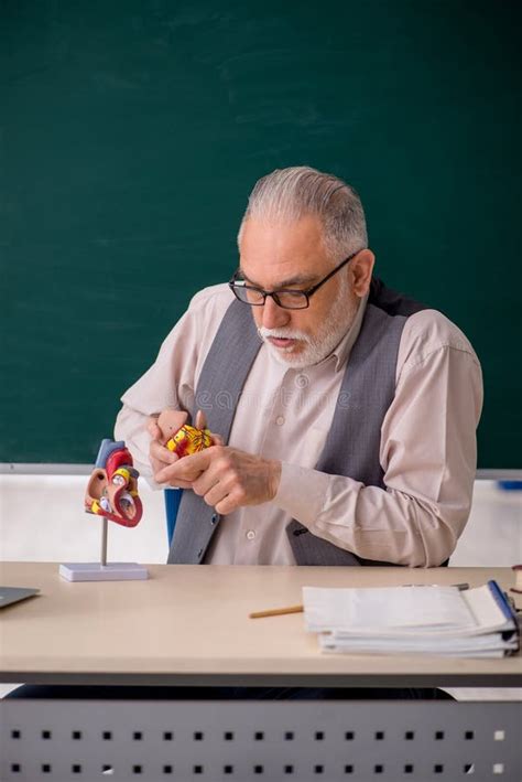 Profesor Masculino Viejo Explicando La Estructura Cardíaca Humana Foto