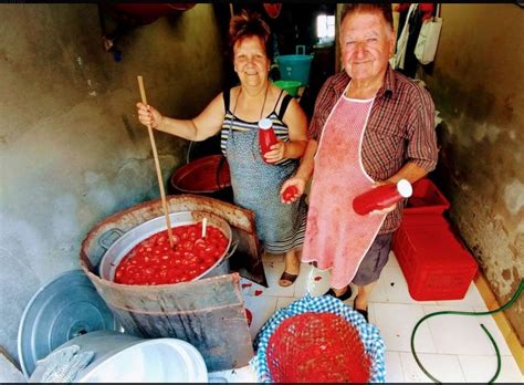 Abruzzo Traditional Christmas Dessert Caggionetti