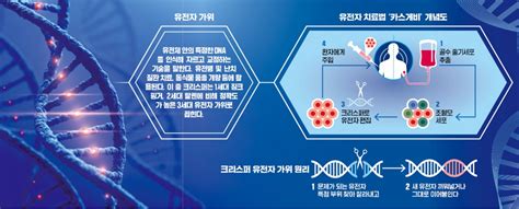 노벨상 유전자 가위 상용화인류가 달에 간 것보다 큰 사건