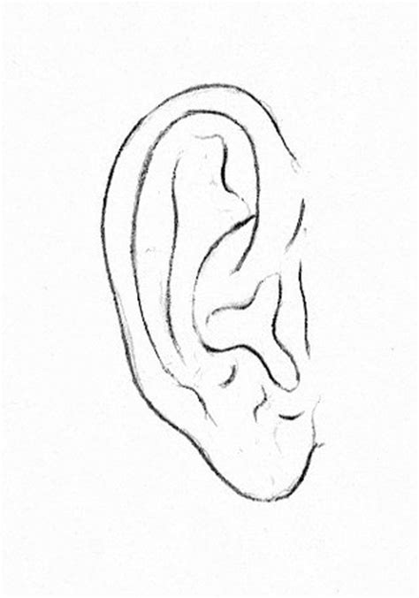 Learn How To Draw Drawing The Ear