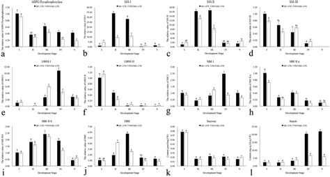 Quantitative Expression Of Genes Involved In The Starch Metabolic