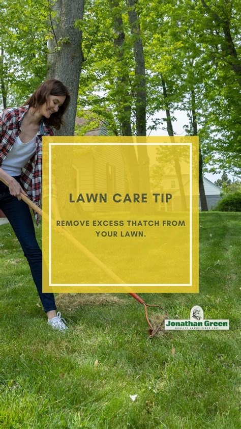 Fall Lawn Care Artofit