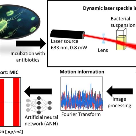 Schematic Of The Dynamic Speckle Imaging Setup For Rast Dyrast After