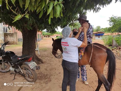 Montado em cavalo idoso de 98 anos recebe vacina contra Covid no Piauí