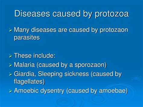 PPT - Protozoans PowerPoint Presentation, free download - ID:294982