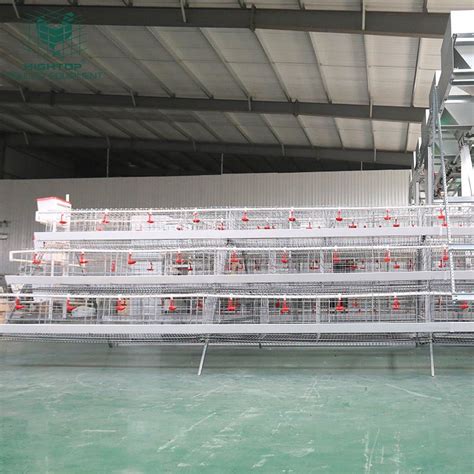 Free Design Tiers Manual Type Layer Chicken Cage Used In Poultry Farm