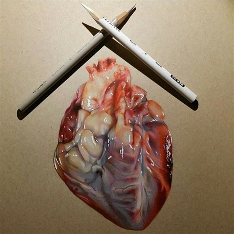 740x740 Realistic Drawing Of A Heart Art That I Love | Realistic ...