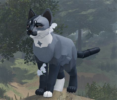 Gray Blue Faded Wcue Morph In Warrior Cats Art Warrior Cat Oc