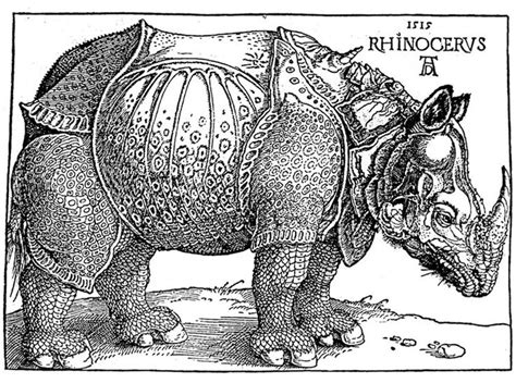 Durer S Woodcut Rhinoceros Rhino Albrecht Durer Renaissance Art