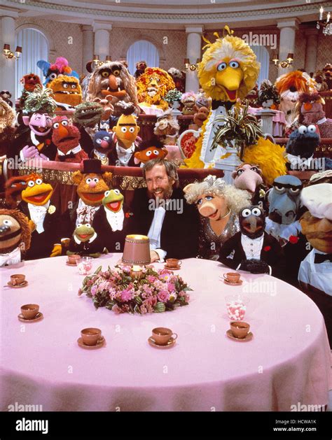 THE MUPPETS: A CELEBRATION OF 30 YEARS, Jim Henson and a group/cast ...