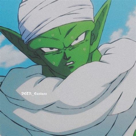 Namekuseijins Wiki Dragon Ball Rpg Amino