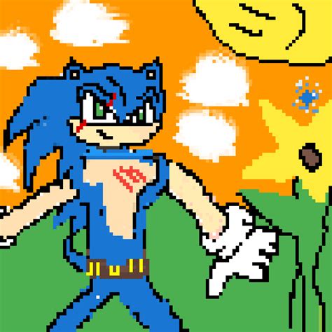 Pixilart Sonic Complete By Shadow Logan