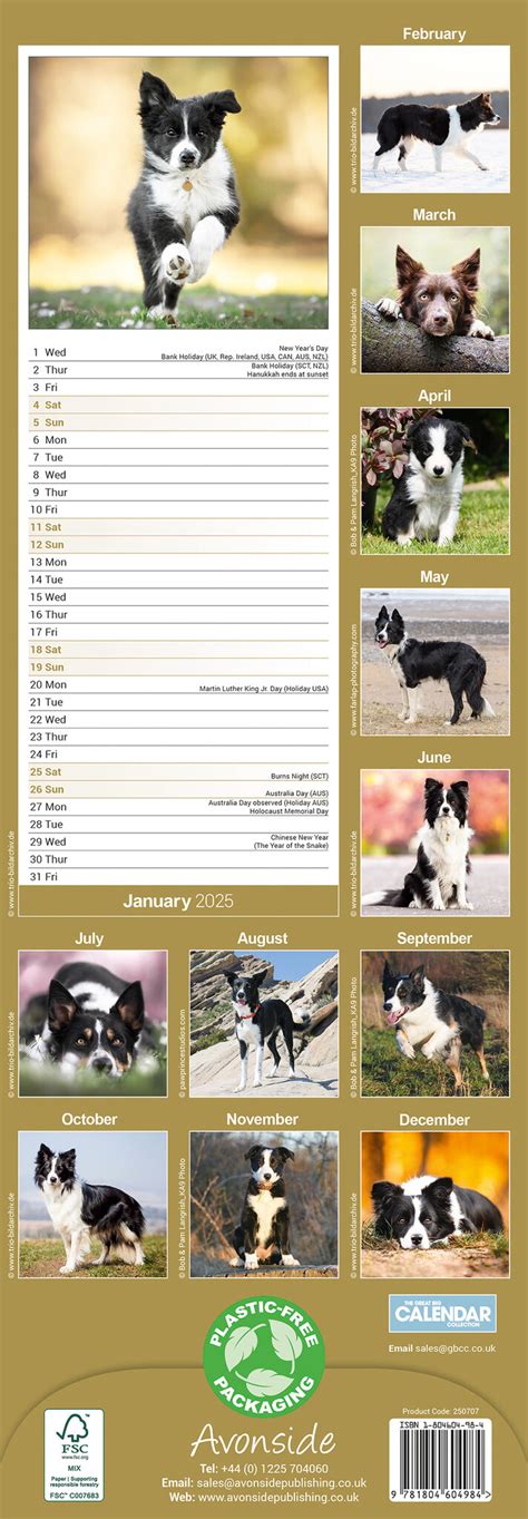 Border Collie Kalender Slimline Kopen Bestel Eenvoudig Online