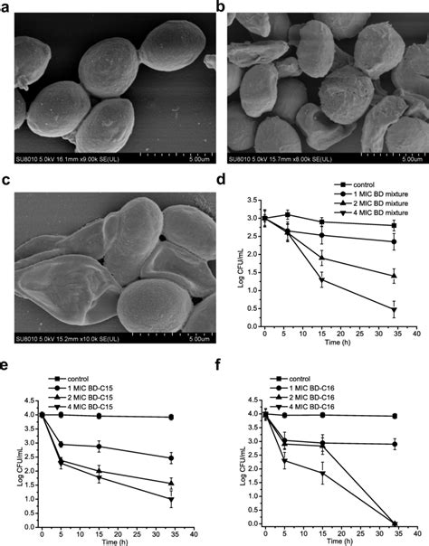 Bd Can Efficiently Inhibit The Growth Of M Globosa Ac Morphological