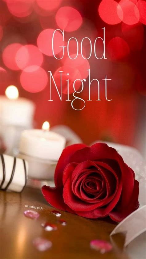 Pin By AnMoL NaZ On GOOD NIGHT Good Night Flowers Sweet Good