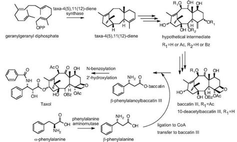 Terpenoids In Plants Chemical Biology