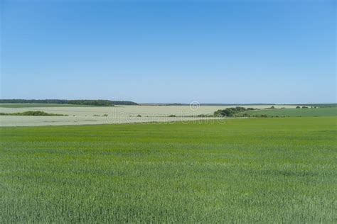Agricultural Landscape in Podolia Region of Ukraine Stock Photo - Image ...