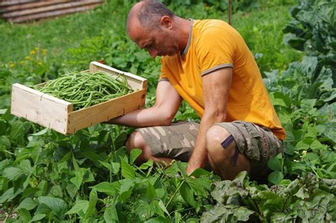 Crise Du Bio Une Aide D Urgence Pour Les Agriculteurs Des C Tes D Armor