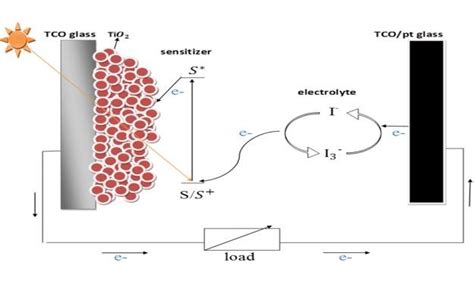 Schematic Representation Of A Dssc Download Scientific Diagram