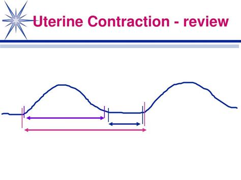 Ppt Normal Labor And Delivery Physiological Adaptations Chapter 17 Powerpoint Presentation