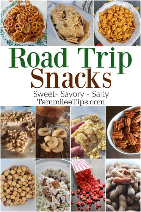 30+ Road Trip Snacks (Easy and affordable) - Tammilee Tips