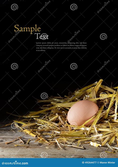 Egg Em Um Ninho Da Palha Dourada Na Madeira Contra Um Fundo Escuro