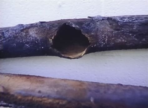 Boiler Feed Water Systems And Boiler Damage I Rasmech