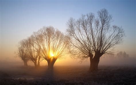 1028290 Sunlight Landscape Forest Sunset Nature Snow Winter