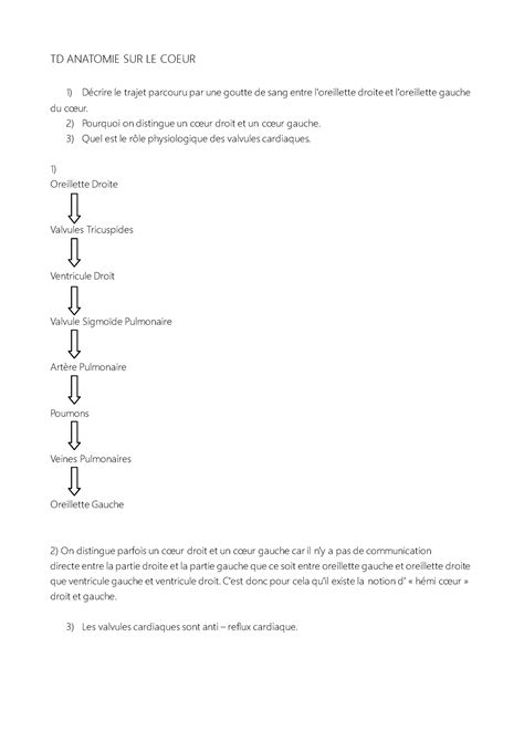 TD ANAT Coeur TD ANATOMIE SUR LE COEUR Décrire le trajet parcouru par