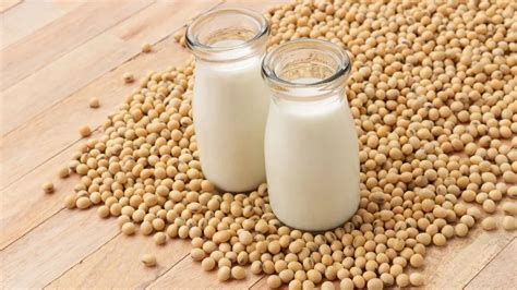 Benefits Of Soybean For Men For Sex