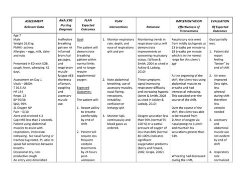 Components Of A Care Plan Printable Templates Free