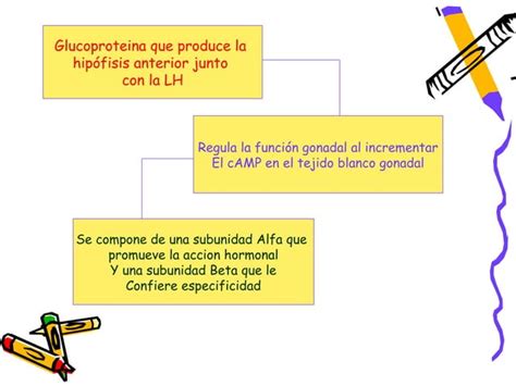 Hormona Foliculo Estimulante Fsh PPT