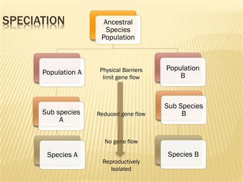 Ppt Speciation Powerpoint Presentation Free Download Id2012037