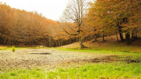 Escursione Al Parco Dei Nebrodi Per La Festa Dell Albero